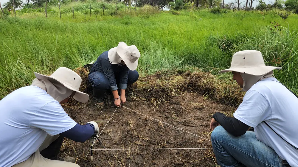 Equipe fazendo marcação e medições no terreno em área de várzea